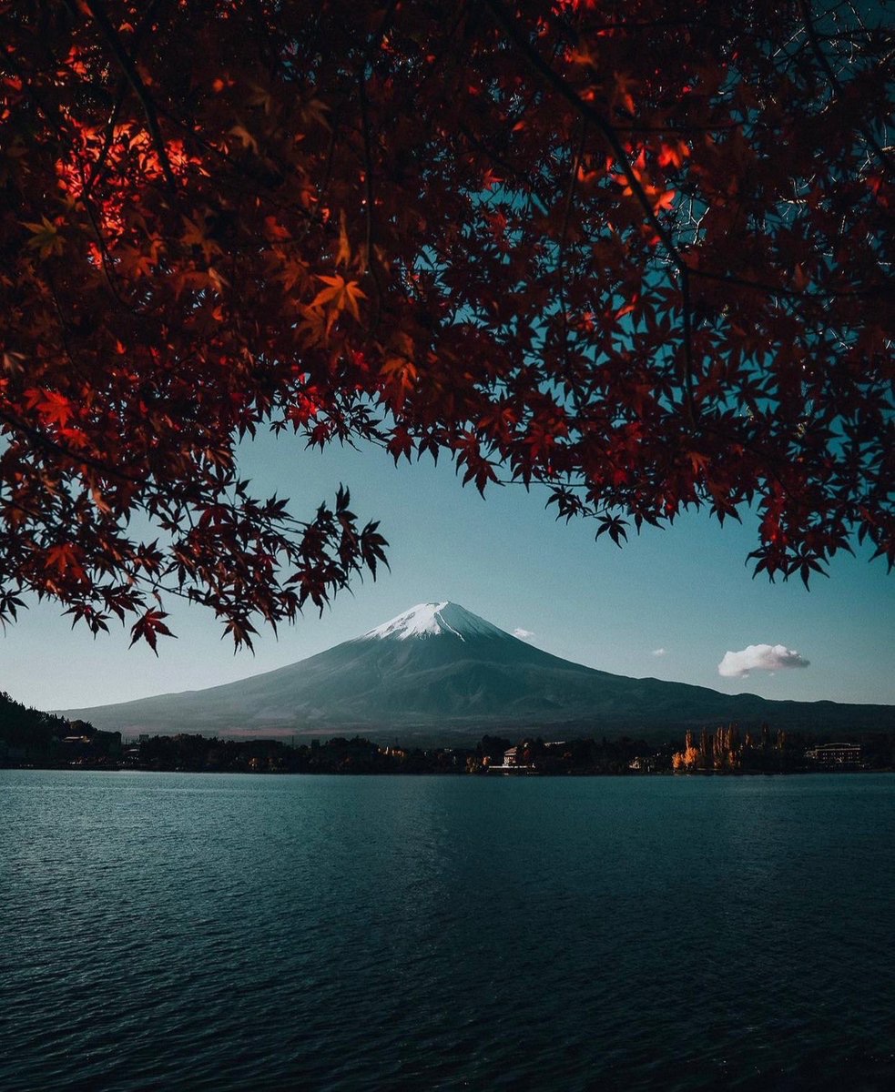 Mt Fuji view 🍂