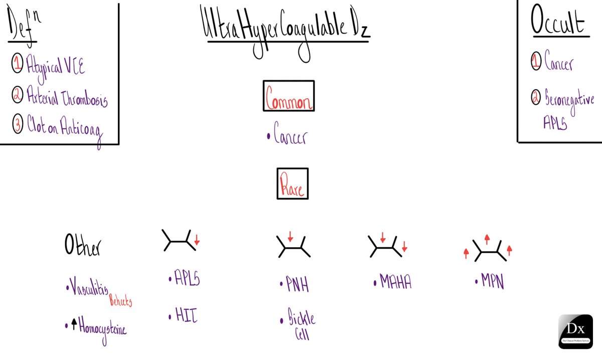 Zakariyya Gardee tweet media