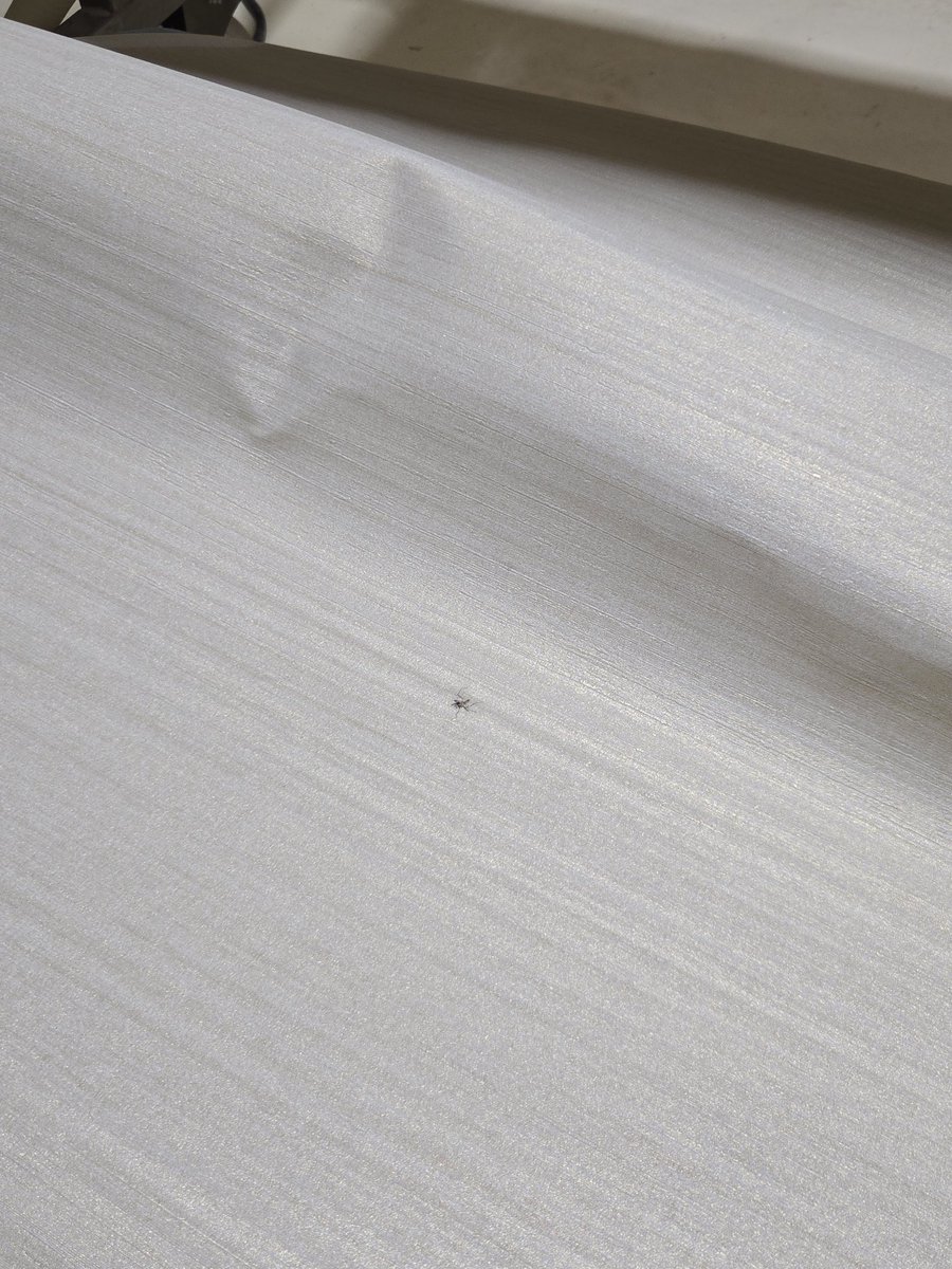 くろべえ❗️ カワサキ Ninja ZX－6R MY2025 新車 エボニー