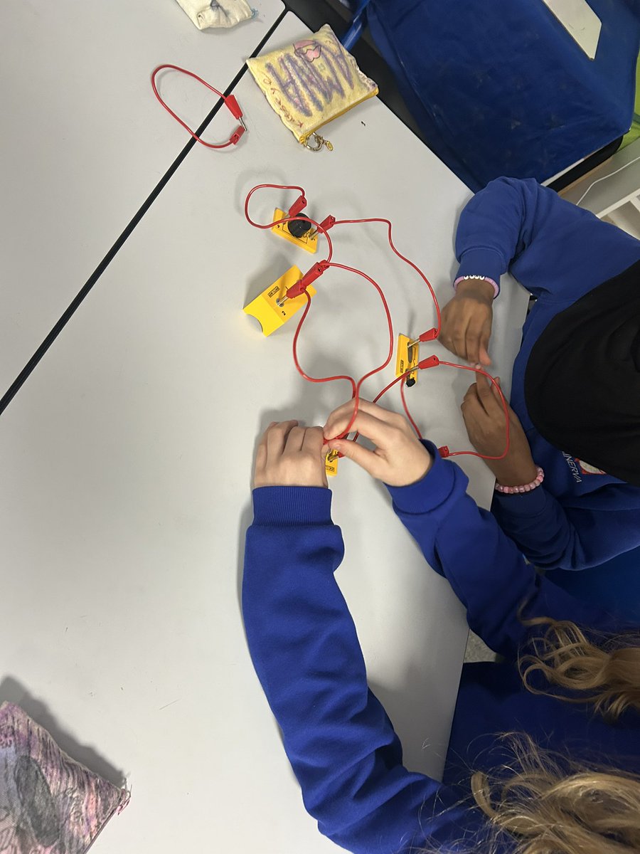 Minerva Academy tweet media