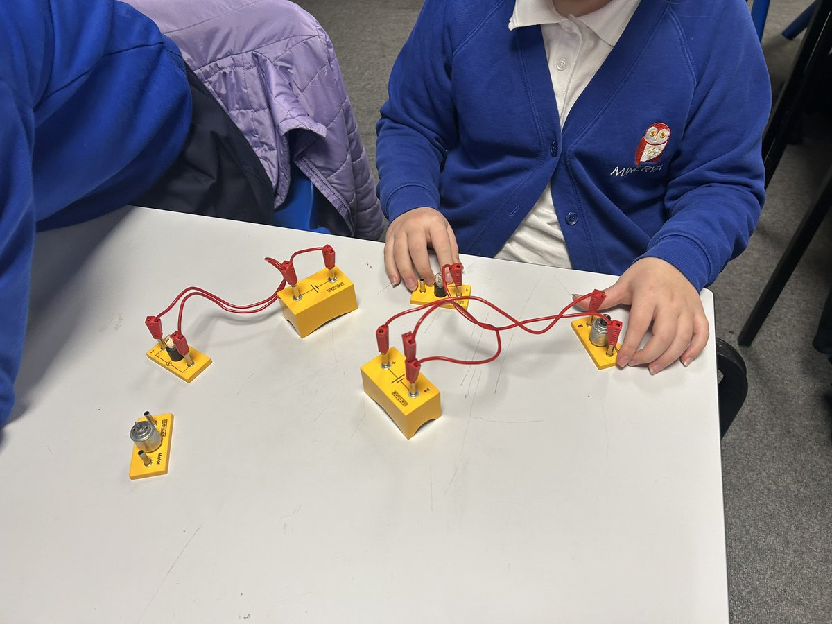 Minerva Academy tweet media