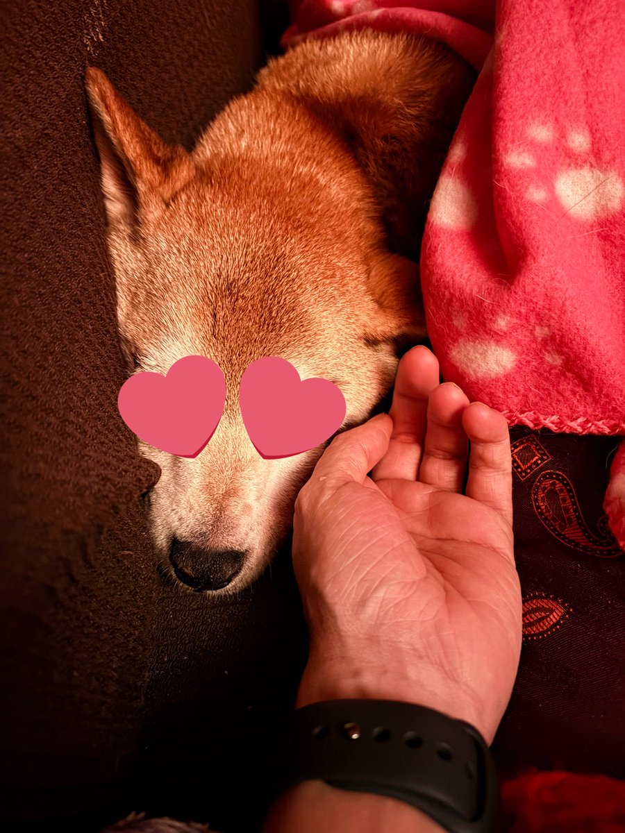 raulofthesun's tweet photo. Al final la vida es esto…descansa en paz 🫶🏻🥰 https://t.co/VCTCaNYdlb