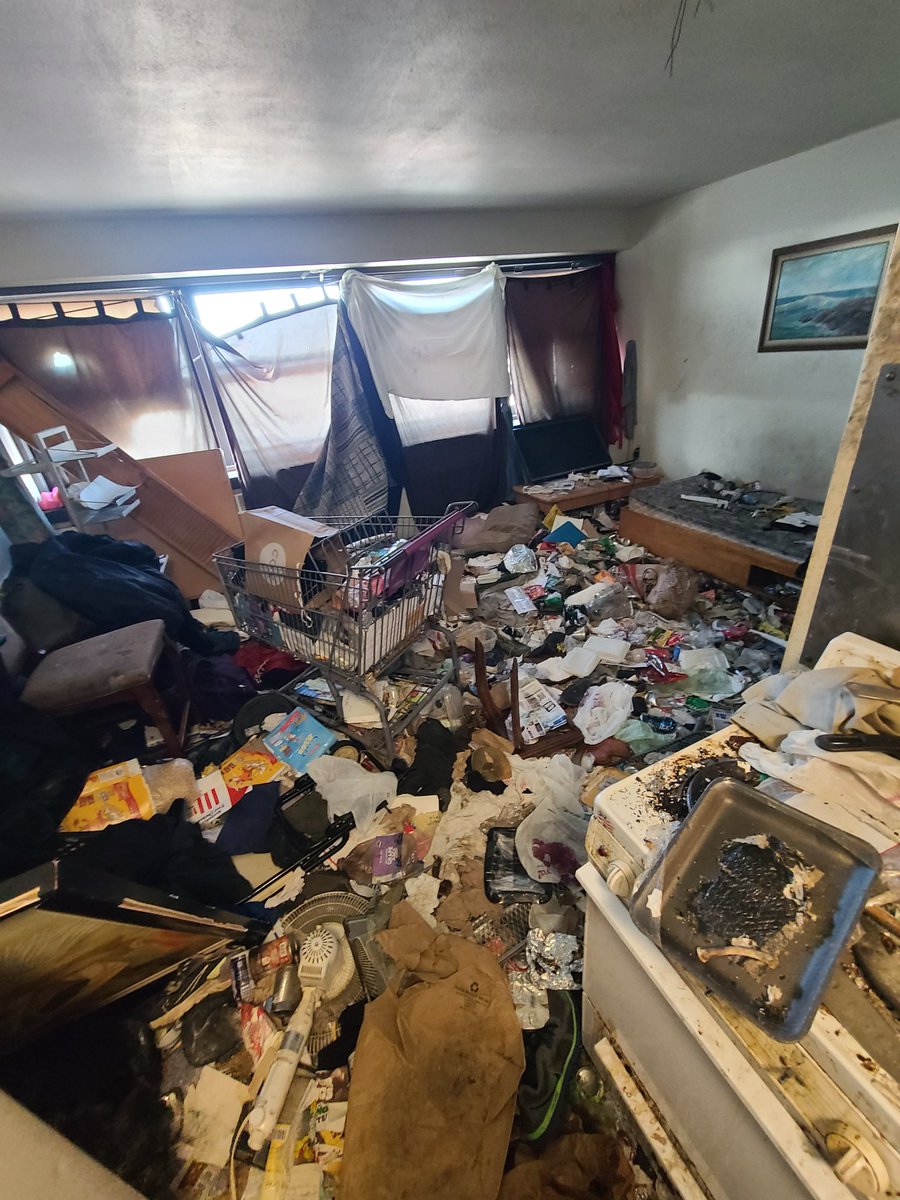 bitesizebedbugs's tweet image. Sorry for the mess, just sit wherever