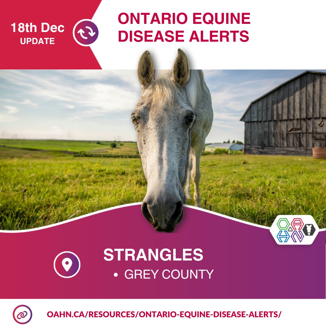 Ontario Animal Health Network tweet media