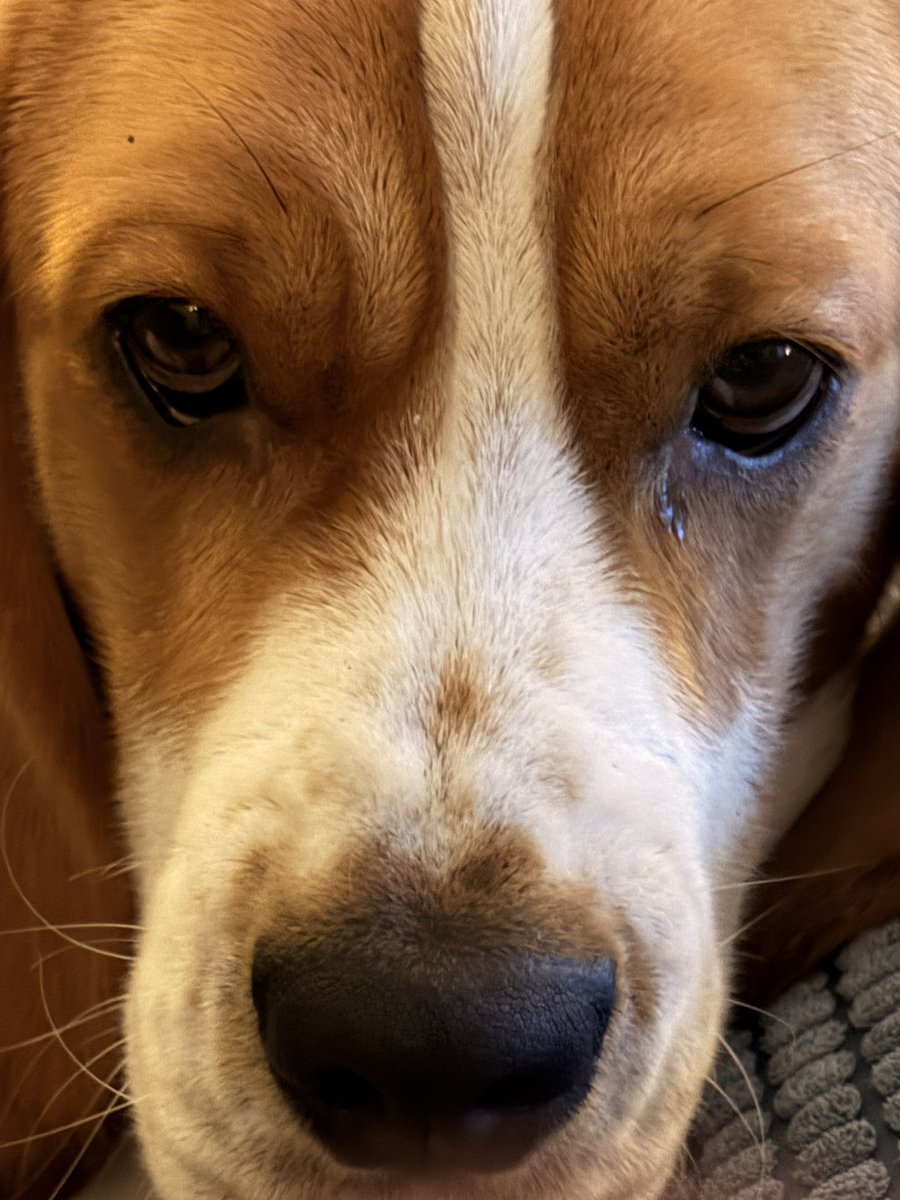 Toaster Philp tweet media