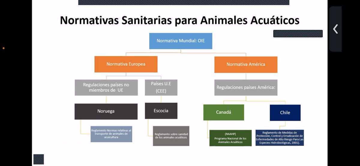 Mg. en Medio Ambiente y Bioseguridad Acuicultura tweet media