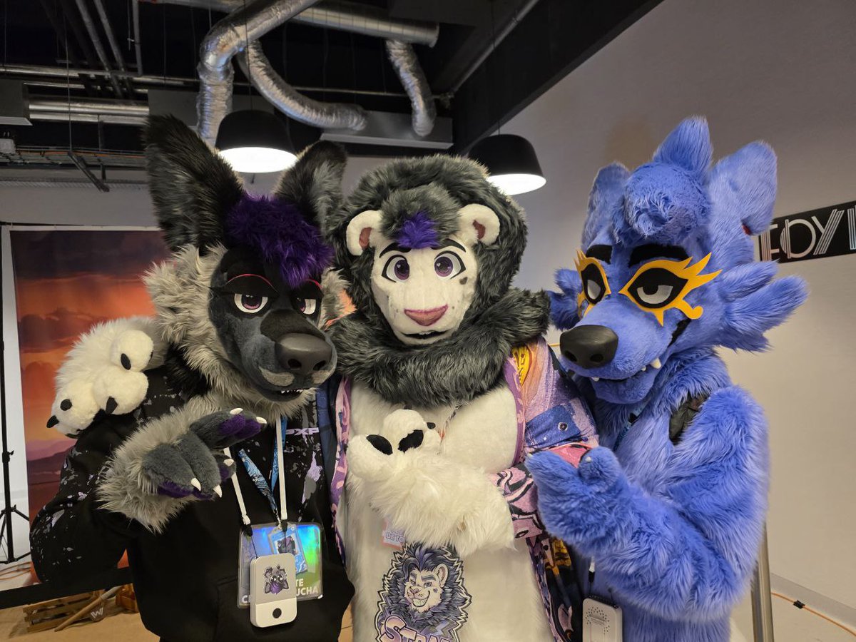 ✨A beautiful picture of me with 2 handsome person !!💖

🐻<a href="/StanRenart/">StanRenart</a> 
🍇<a href="/FuroFur/">Fluffy Grape (Furo) 🍇</a> 
#FursuitFriday #fursuit #FBL13 #furryblacklight