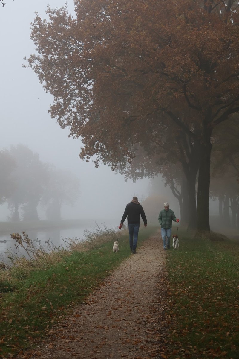 NelleBloem's tweet image. #rowcase #photographychallenge
@jasonrowphoto  #Fog