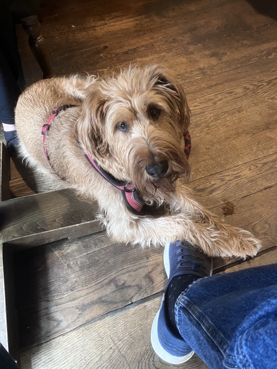 John Simpson tweet media