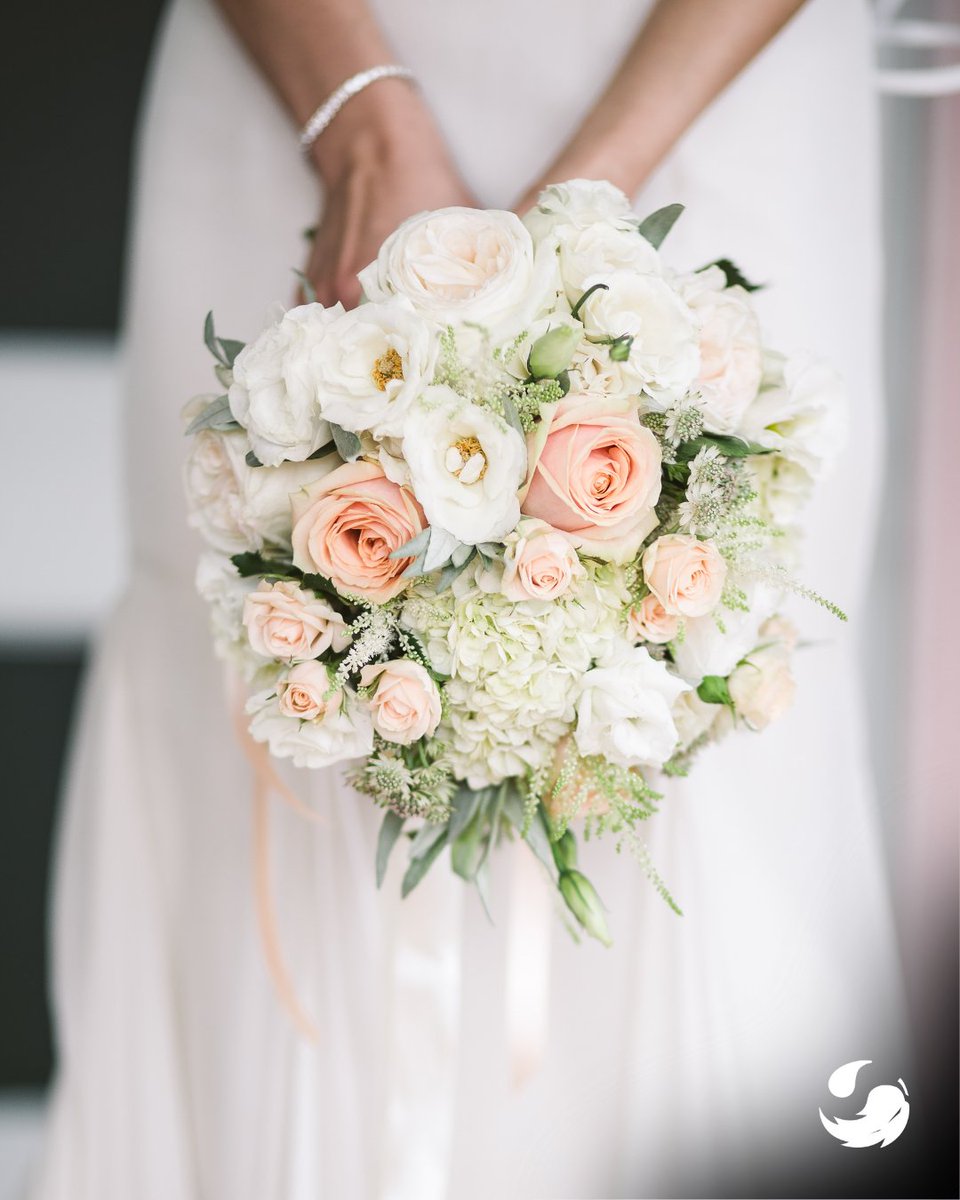 Your gown deserves the royal treatment. Trust us to keep it pristine, from your big day to forever after.👰💫

#GreenEarthCleaning #TheWeddingGownSpecialistsCpr #BridalGown