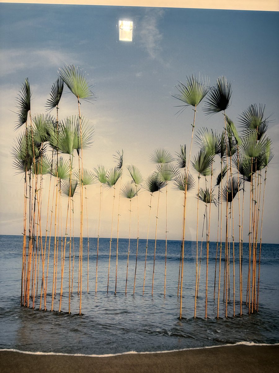 La sutileza poética de #NilsUdo en <a href="/GaleriaAS/">Galería Ana Serratosa</a>