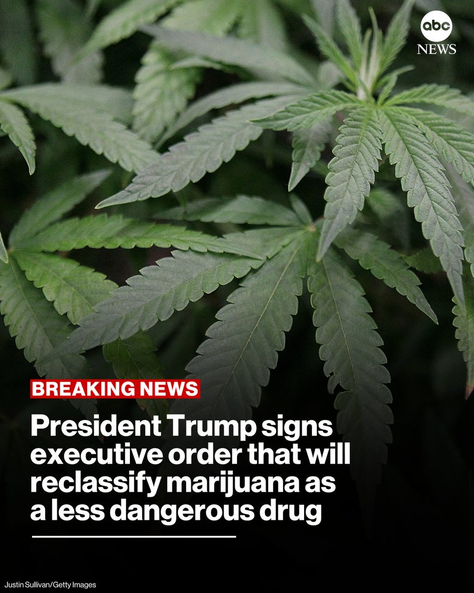ABC's tweet image. NEW: President Trump has signed an executive order reclassifying marijuana as a Schedule III drug, effectively easing federal restrictions.
 
Read more: abcnews.link/TO4Qg6D