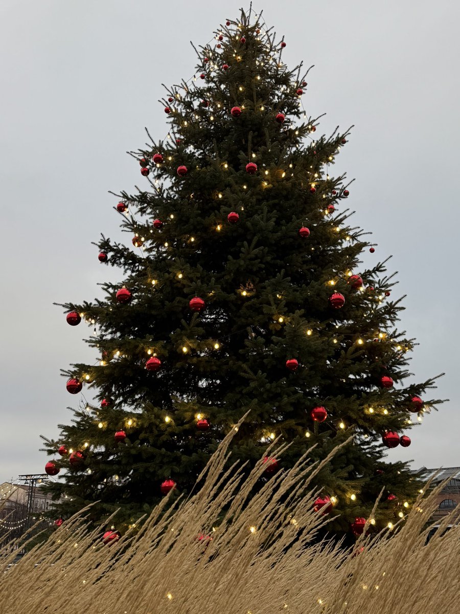 kryptobeaver's tweet image. The New Year is just around the corner! Took a walk with the family and got into the holiday spirit! 💙