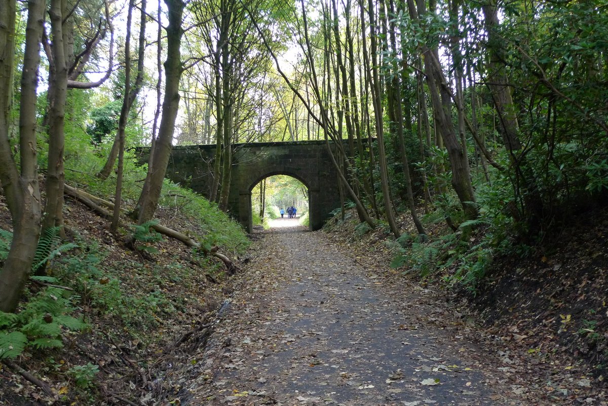 The Cycling Scot tweet media