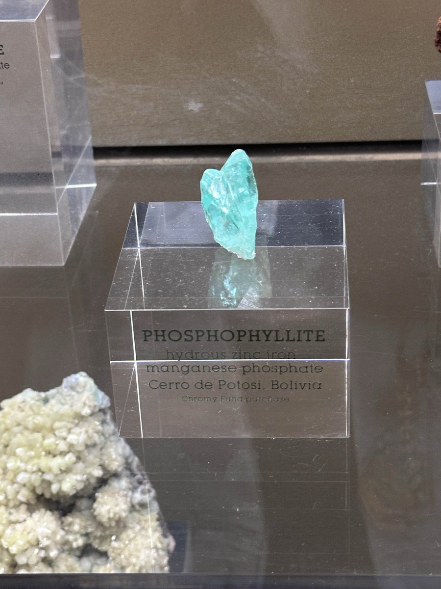 Nagi 🦦 tweet media