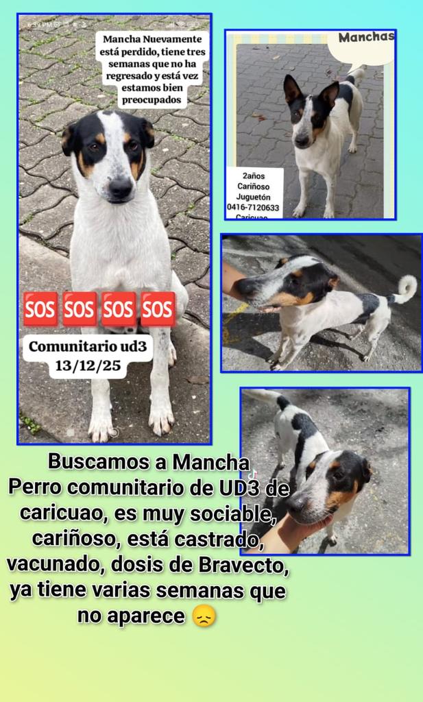 #Caracas
#CaricuaoUd3
Nos informo un trabajador del Metro caricuao, que lo vieron hace días con un niño dentro de los vagones, que ese niño se la pasa por las estaciones adjuntas, silencio y Caricuao. Por favor estar atentos si lo ven, debe estar muy triste 😢.