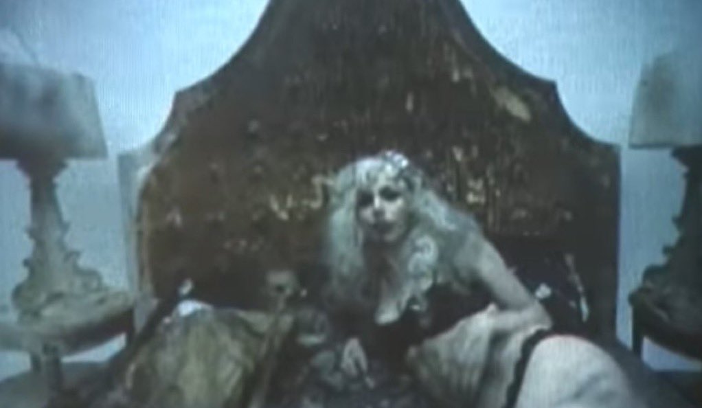 Pop ate my heart tweet media