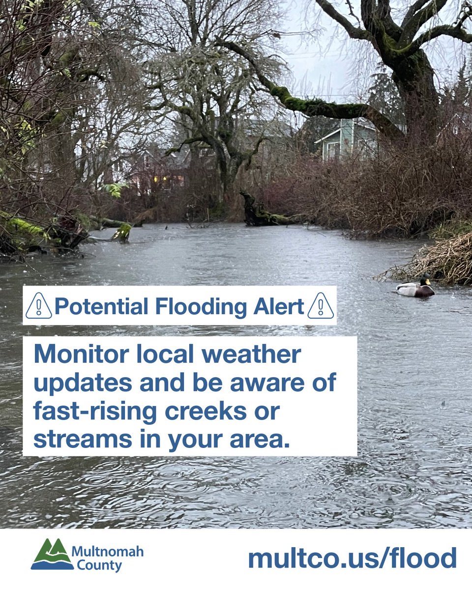 multco's tweet image. Be ready for potential flooding as our area experiences heavy rain. Monitor local weather updates and be aware of fast-rising creeks or streams in your area.

For more info on what to do during a flood, forecasts, sandbag distribution sites and more, visit multco.us/flood