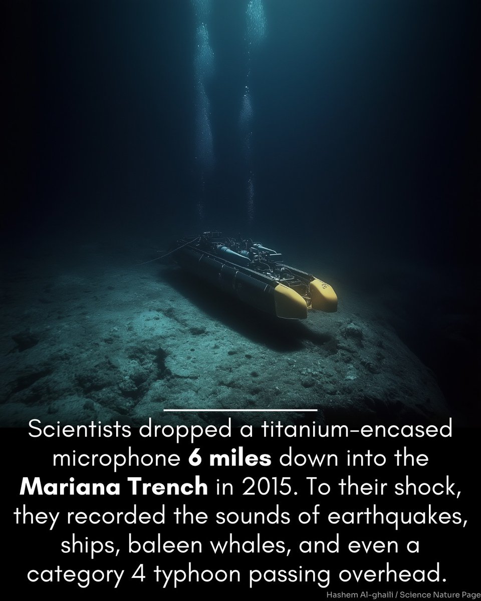Love this stuff! NOAA and Oregon State University dropped a hydrophone into the Mariana Trench. Instead of stillness,  recordings captured earthquakes, passing ships, baleen whales, and a typhoon raging above! #sounddesign #audiorecording #oceansound #hydrophone