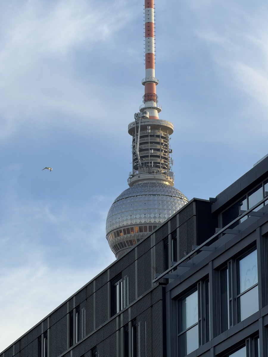 utupp's tweet photo. December 2025.
#berlin #ourlegacy https://t.co/C8WkXJCCfV