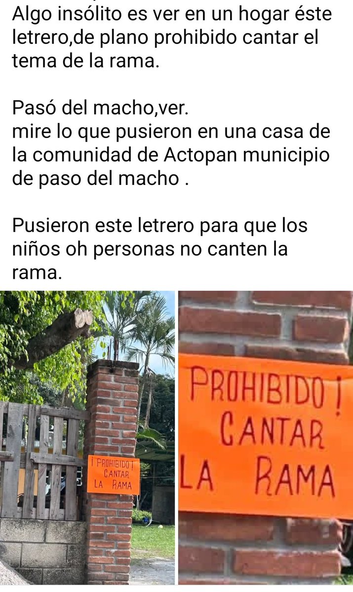 Pechmed's tweet photo. Quizás hay un niño pequeño o un enfermo
Y que de repente rompa la calma un hermoso cántico pidiendo su aguinaldo y que la calaca tiene un diente y topo Gigio tiene dos...
Pues resulta inquietante
#LaRama
#Posadas
#Veracruz https://t.co/40z5nlZSuc