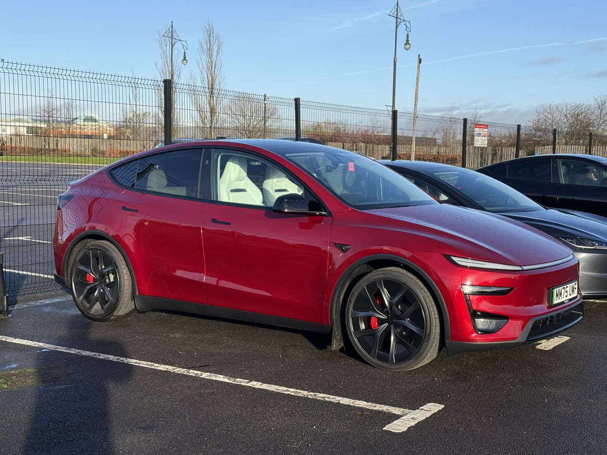 Tom Last tweet media