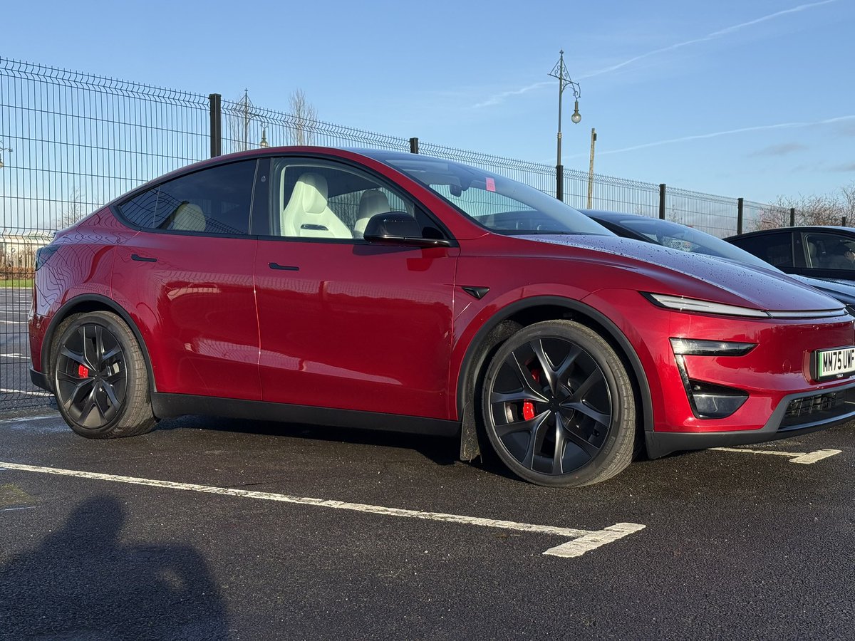 Tom Last tweet media