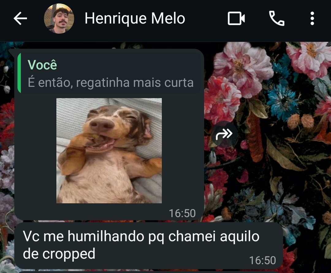 hideousigor's tweet image. O @hira_a_ não sabe a diferença de um cropped e de uma regata!!!!! (a humilhação pública veio ✨