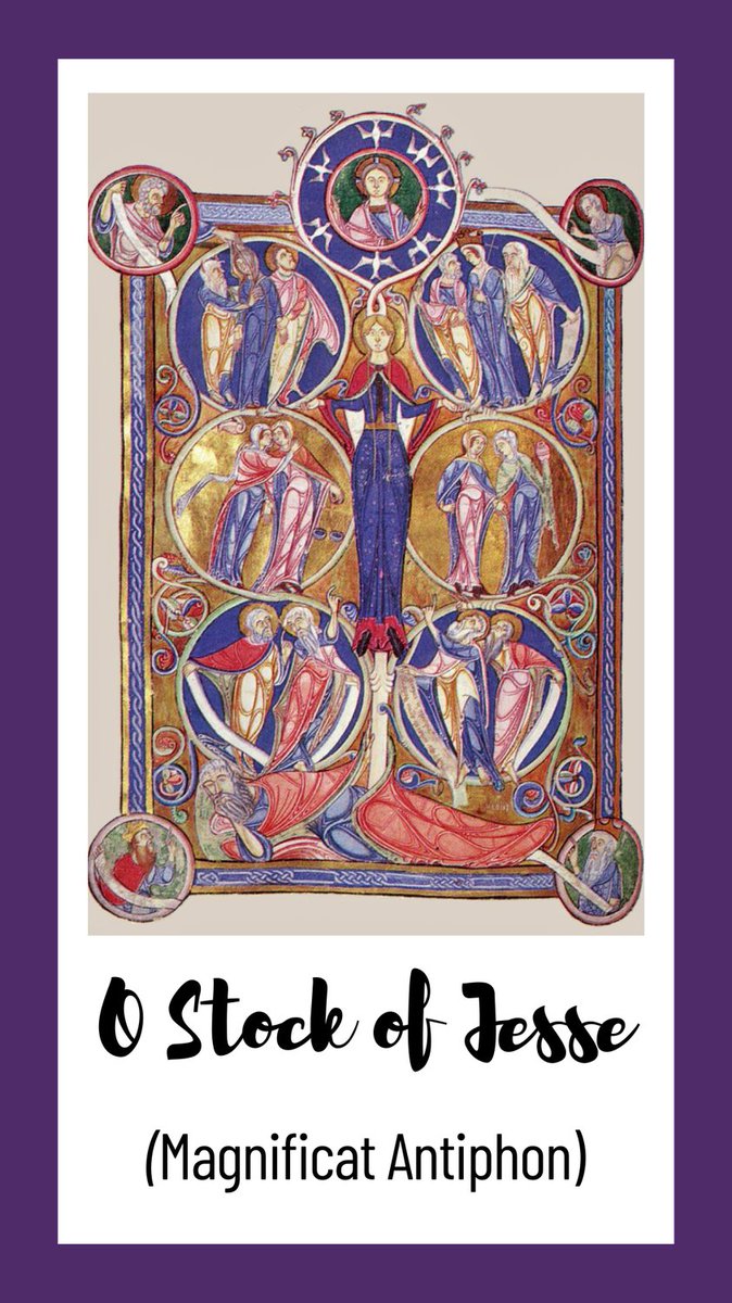 "O Stock of Jesse, you stand as a signal for the nations; kings fall silent before you whom the peoples acclaim. O come to deliver us, and do not delay." - #MagnificatAntiphon

📷 The Jesse Tree / The Lambeth Psalter (ca. 1140) / #Wikipedia. #Catholic_Priest #CatholicPriestMedia