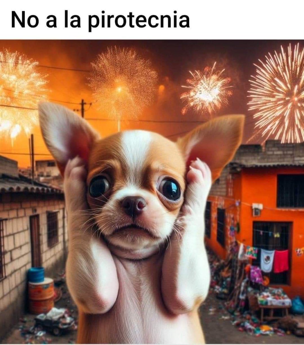Amigos aquí en Topilejo la pirotecnia no para… Han sido noches pesadas en las que hay que estar en vela cuidando a los perritos, los colaboradores han tenido que venir 1:00 am a ayudarnos porque se asustan terrible y se brincan de su zona, queriendo escapar. 😢😔
Los perritos no