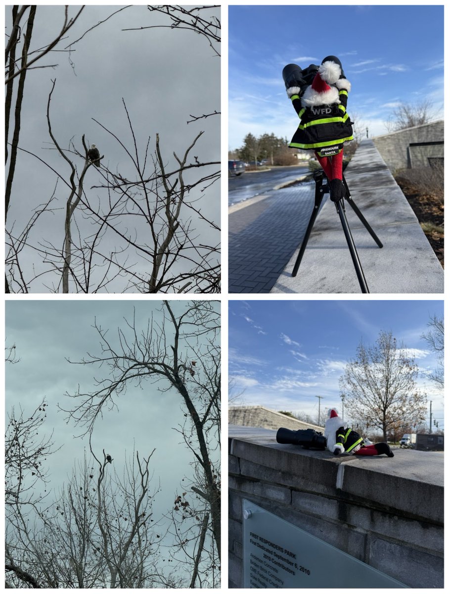 Firehouse Santa discovered that two bald eagles have made themselves at home near Station 111! Grabbing the binoculars from our boat, he set off for some bird watching. He snapped some photos &amp; named them Tinsel &amp; Tiller! #HoHoHoWhereWillHeGo #FirehouseSanta