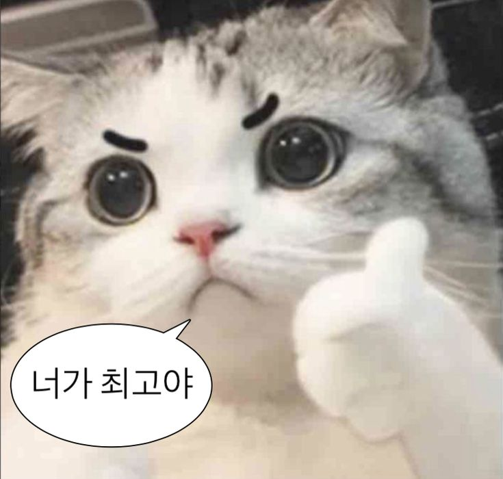 0xCrocy's tweet image. ㄹㅇ 진짜 많은 프로젝트들이 큰거 온다며
희망고문만 당하고 뒤로는 토큰 락업 해제해서 
물량 덤핑하는 양아치 프로젝트들이 많습니다.

하지만 @stbl_official 이 오늘 트윗한
2025년도 리캡 트윗들을 보면

지난 90일간 조용히 Cyfrin 감사와 
인프라 구축에만 집중해서 보여주기식 펌핑이 아니라,…