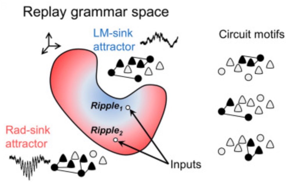 Liset M de la Prida tweet media