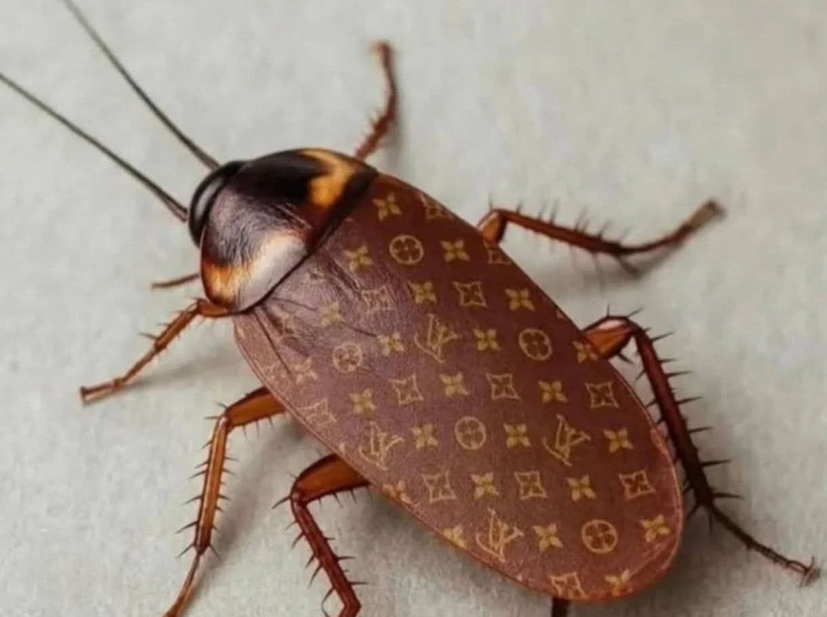 Cuando te vistes con ropa de marca, pero sigues siendo la misma cucaracha.