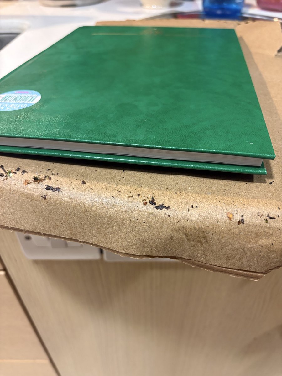 Henry Fingleton tweet media