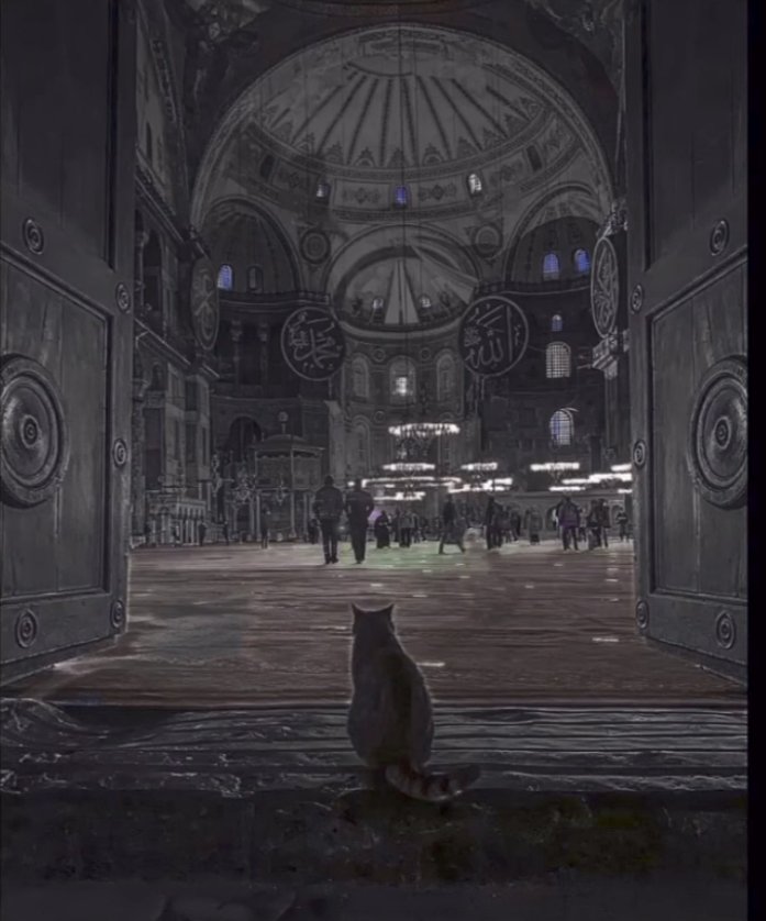 "Herşey hallolur  𝘼𝙇𝙇𝘼̂𝙃 ne zaman bizi yarı yolda bıraktı ki . "

#Cuma