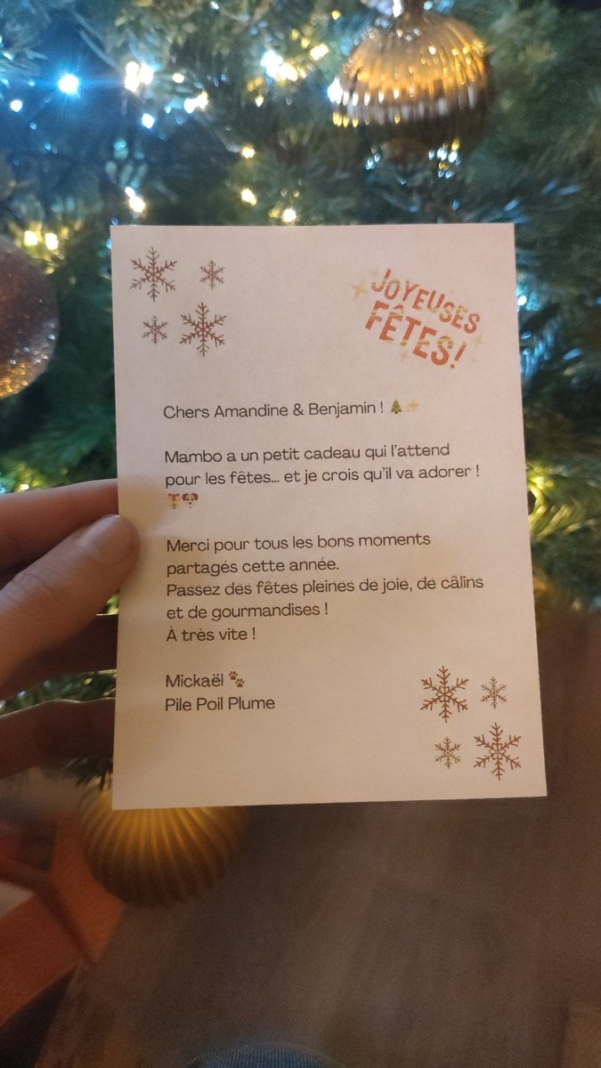Et chacun a le droit à son petit mot personnalisé 😊
#MerryChristmas