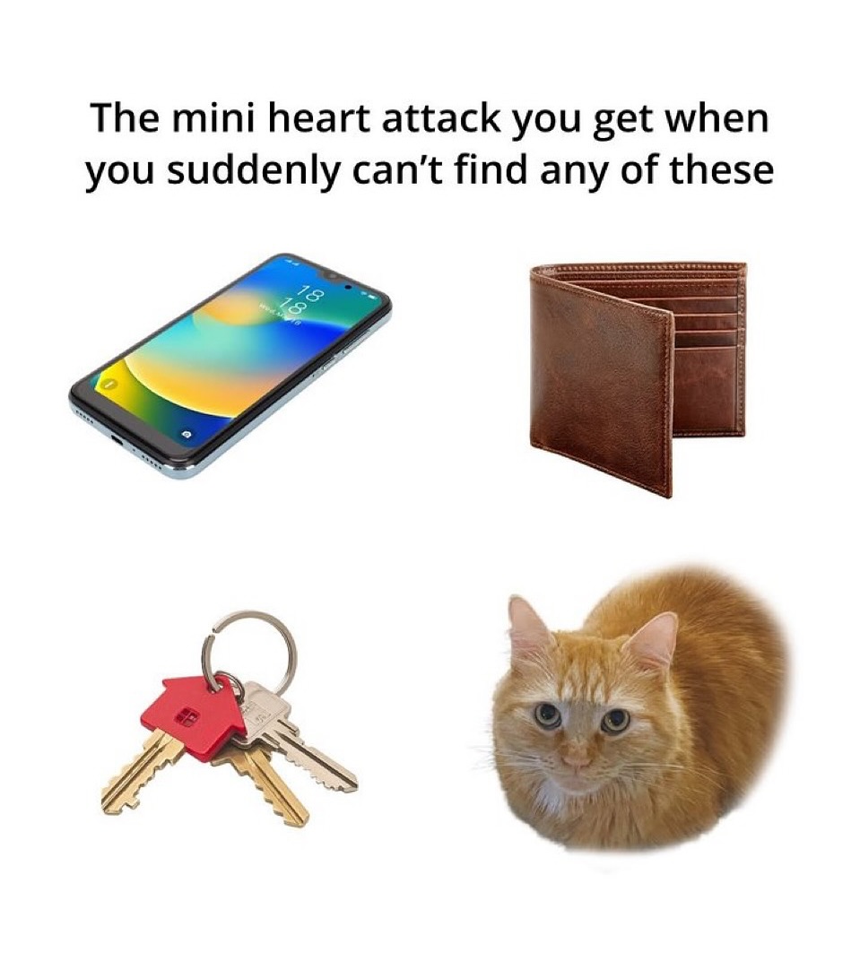 Catsillyness's tweet image. 