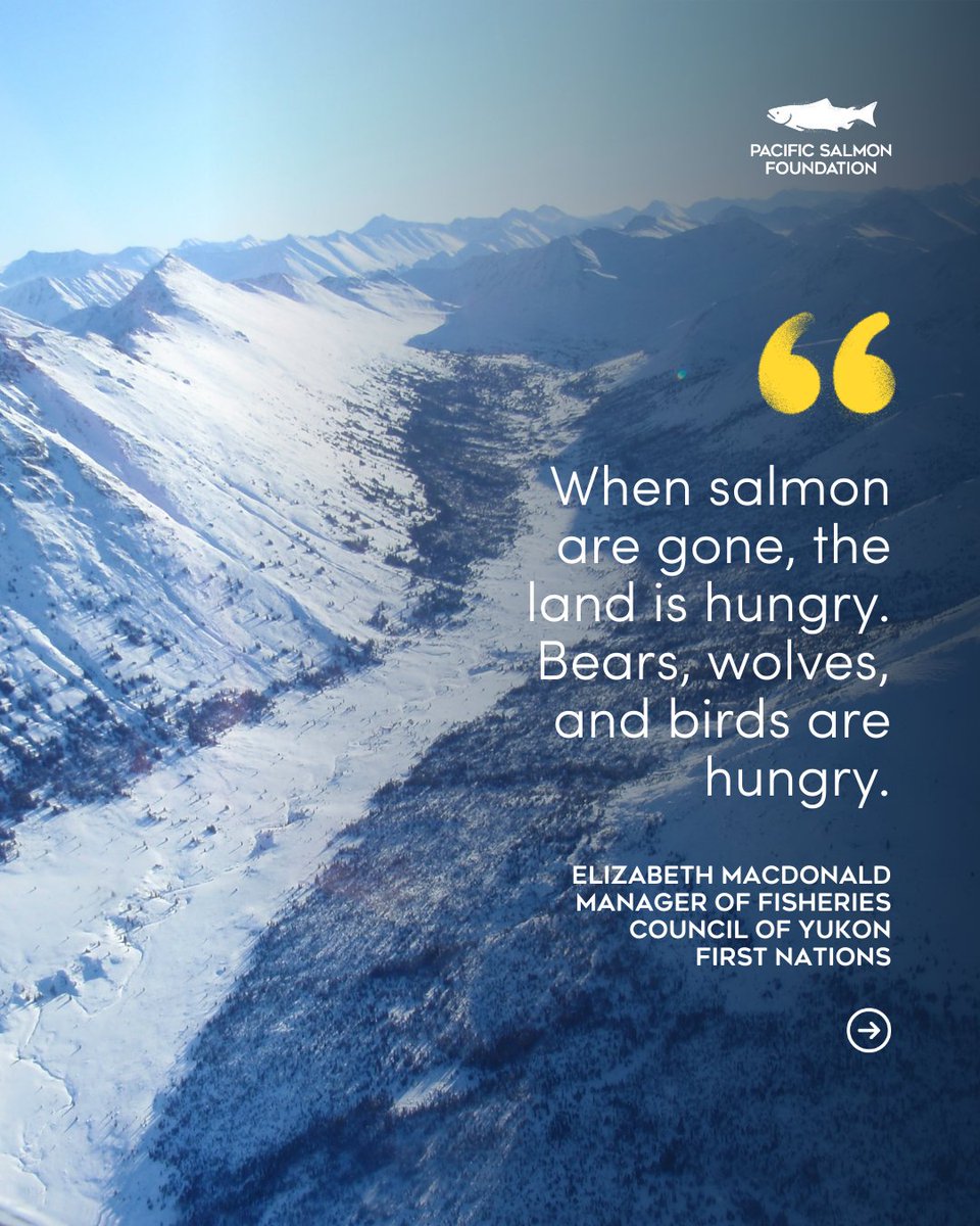 PACIFIC SALMON FOUNDATION tweet media