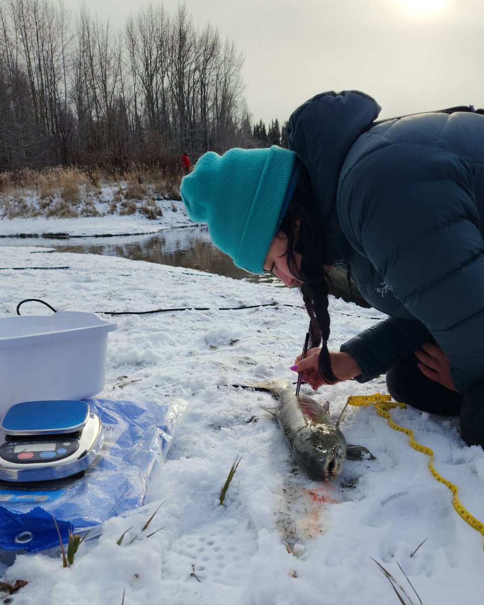PACIFIC SALMON FOUNDATION tweet media