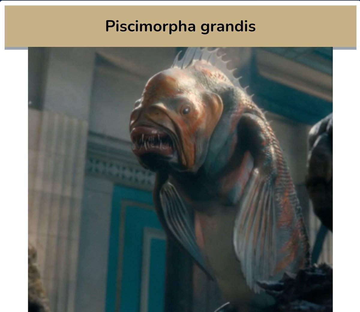 Aled Illtud 🐻 🏴󠁧󠁢󠁷󠁬󠁳󠁿 (Nid Illtyd) tweet media