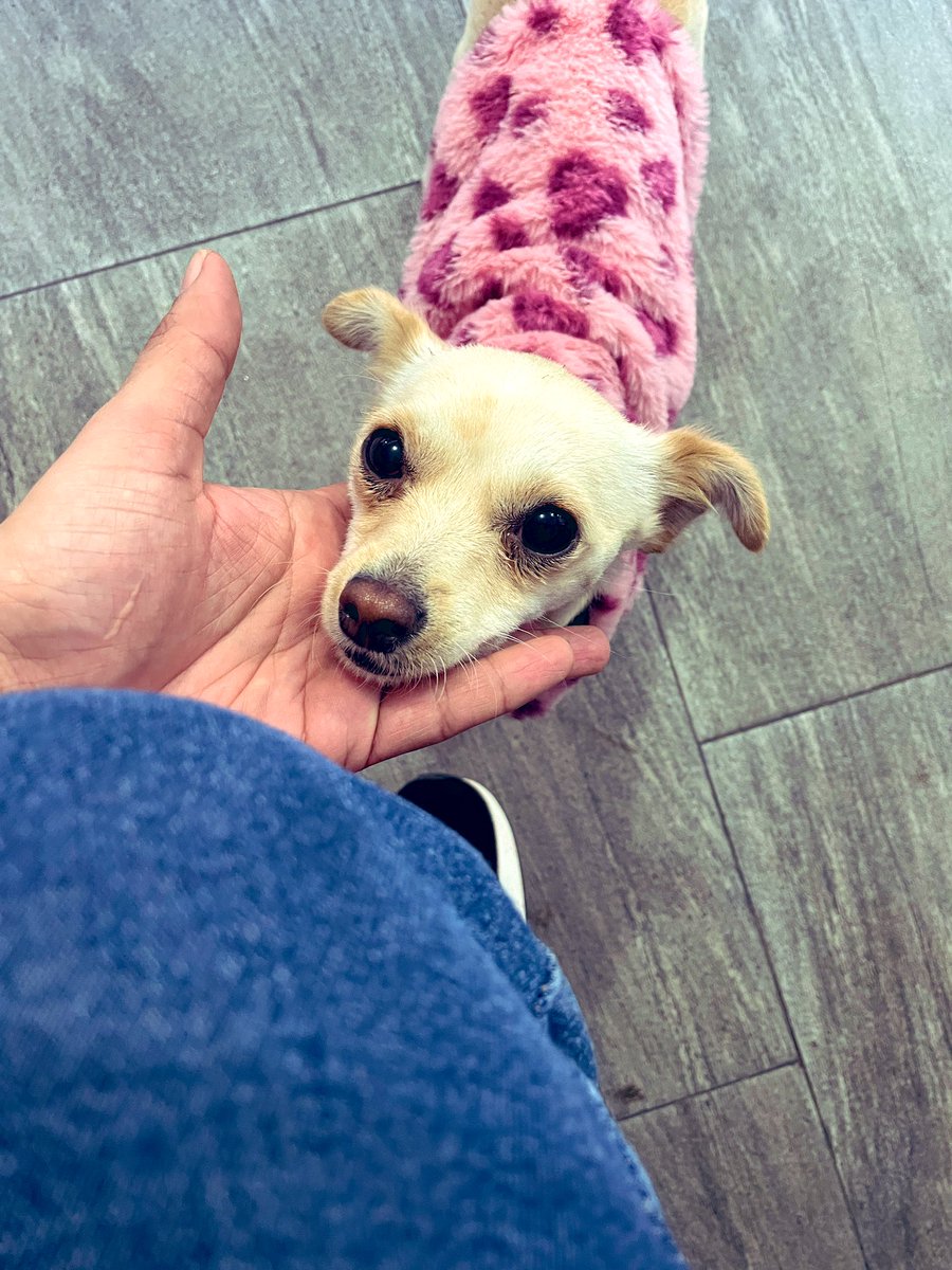 Que buen recibimiento