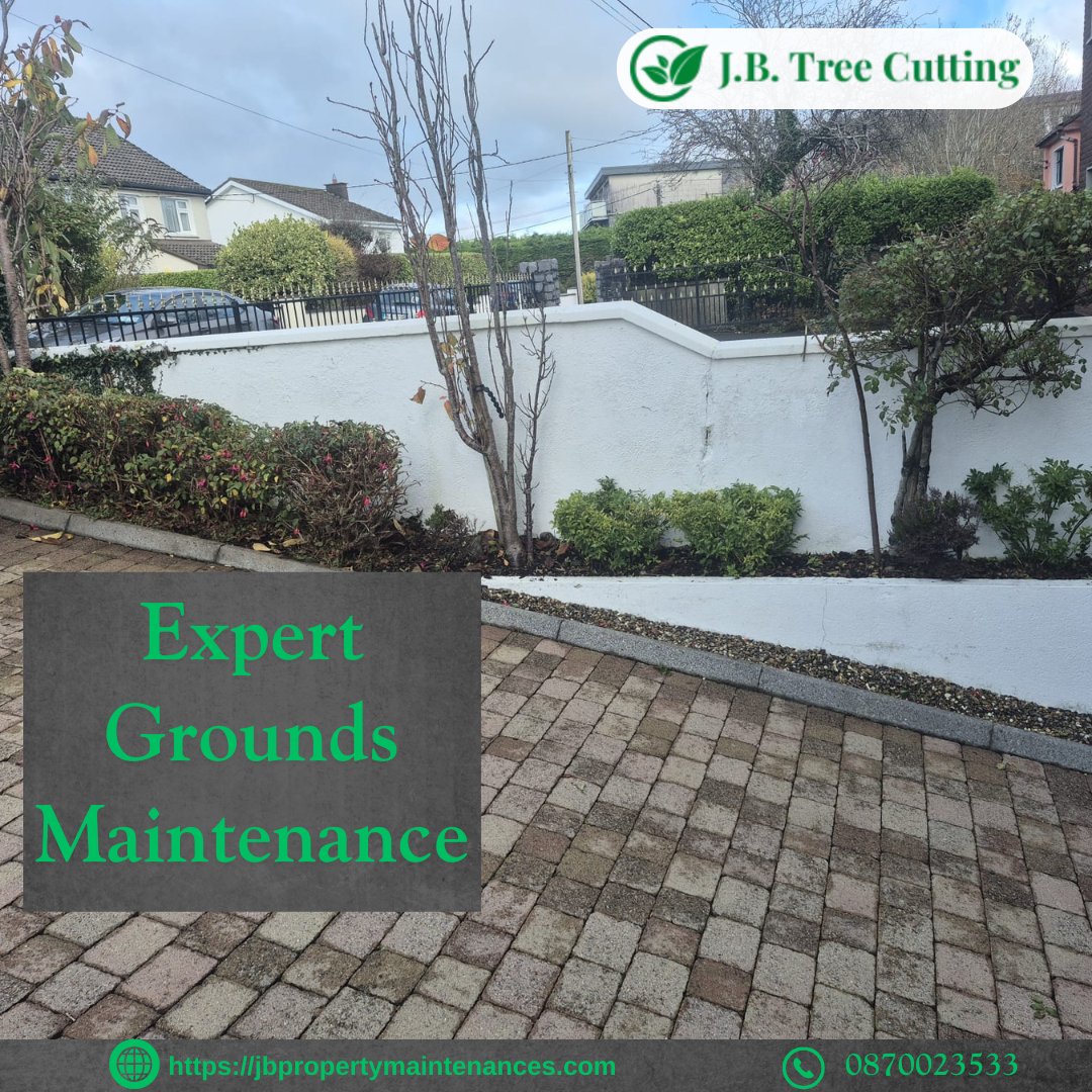 jbproperty_1's tweet image. From rugged boundaries to pristine driveways, we cover every inch of your ground!

At JB Property Maintenances, we pride ourselves on being the all-in-one solution for Irish property owners.
 
 jbpropertymaintenances.com

#JBPropertyMaintenances #GardenServicesIreland #HedgeCutting