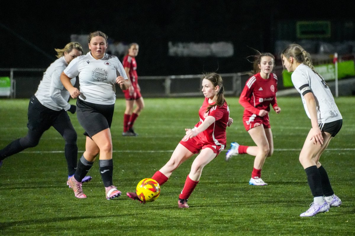 dylanevans.photos tweet media