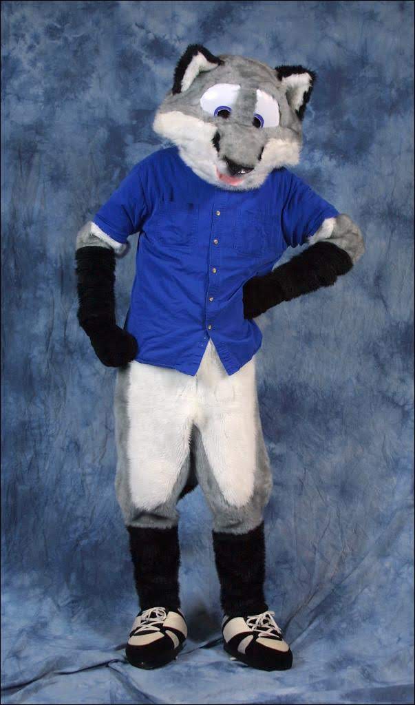 Arrow 🔜 FWA tweet media