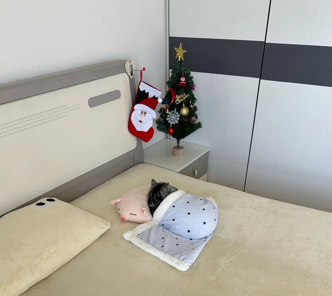 мій стан після сьогодні просто киньте на банку прошу💔🫂