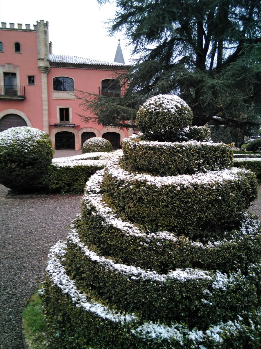 Continuando con la programación de “Los findes al Museo”, el próximo domingo 21 de diciembre de 2025, a las 12.30 horas, te invitamos a participar en la visita guiada “Sobrevivir al invierno”, de la mano de Noelia Velasco de la Torre, guía de naturaleza y monitora forestal.