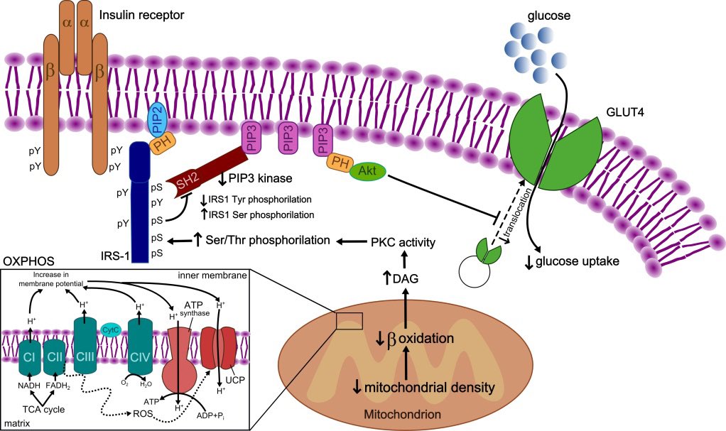 Aitor Viribay tweet media