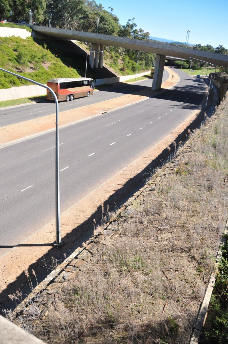 Aldith Circe Cowley tweet media