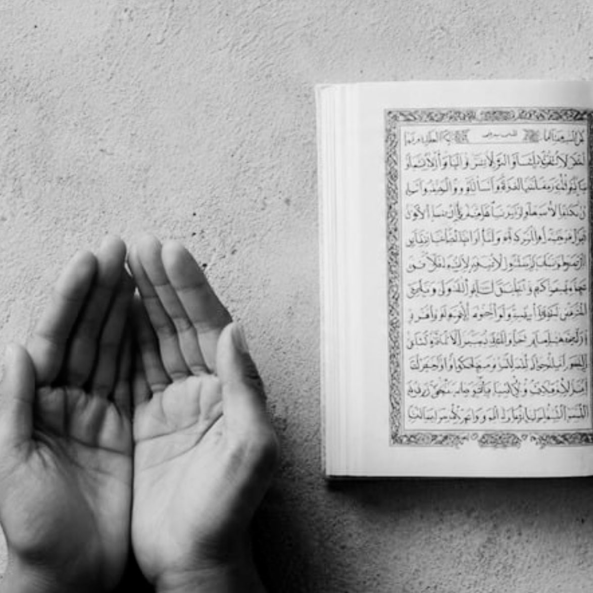 abdullahyuyucu's tweet image. Maddi sıkıntı yaşayanlar için berekete duası yapacağız.

Şefaate vesile olsun niyetiyle  7.000  Vakıa Suresi okundu. Adınızı yazın ya da bir nokta bırakın sizi de duamıza katalım.

Gönderiyi paylaşalım.